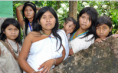 /album/galeria/captura-de-pantalla-2014-06-15-22-34-19-png/